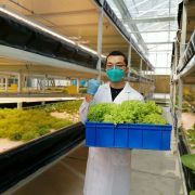 鱼菜高与百源信息 智慧农业的数字化融合之路